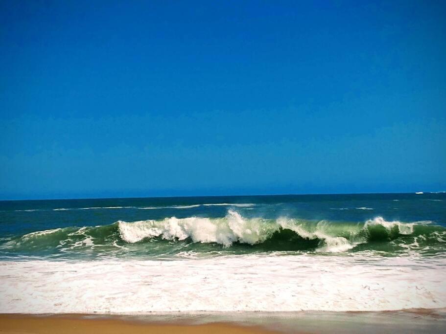 Aloha Sertao Flats Sao Sebastiao  Esterno foto